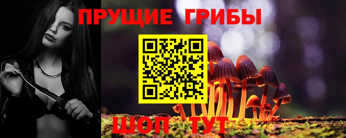 Псилоцибиновые грибы мухоморы Саратов