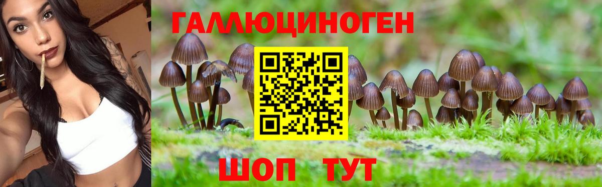 Псилоцибиновые грибы прущие грибы  Галлюциногенные грибы Magic Shrooms  Саратов  дарнет шоп  Вход с VPN 